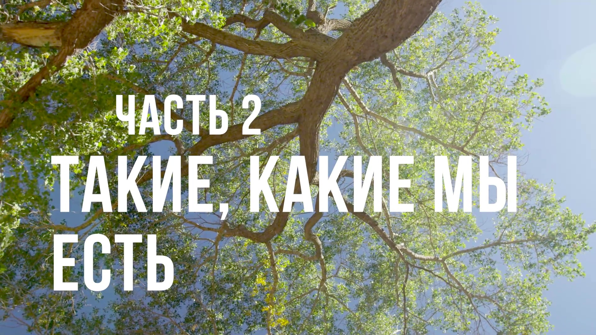 Часть 2 - Такие, какие мы есть