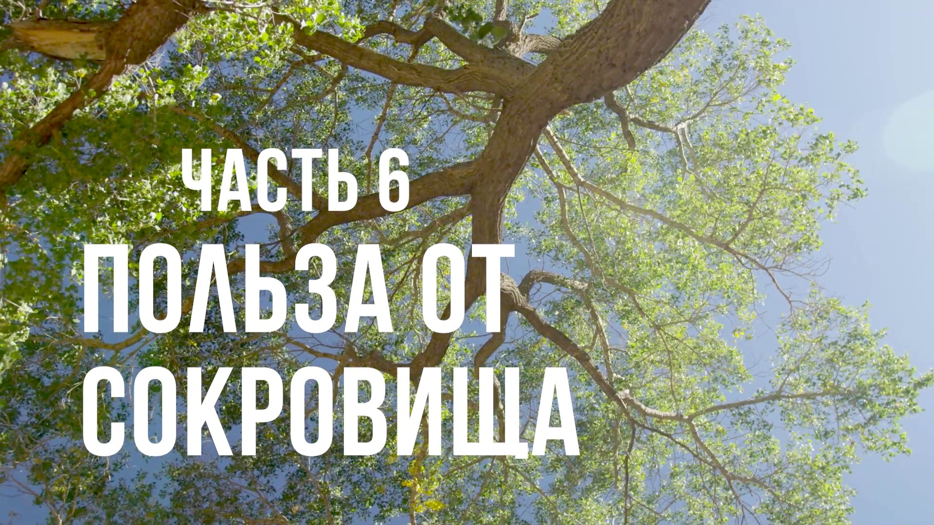 Часть 6 - Польза от сокровища